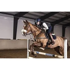 POLAR Equine H10 Heart Rate Sensor For Riding -APPLE || Garmin || FITBIT Sales 050d1490 7a31 41ea 89ce 2305fb6448e3