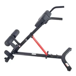 Sunny Health & Fitness Hyperextension Roman Chair With Dip Station - SF-BH620062 , Black -APPLE || Garmin || FITBIT Sales 08bc1d2f 50d1 45d0 aee1 5586c5945f74