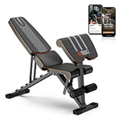 SQUATZ Adjustable Workout Bench - Multi-Purpose And Foldable Bench For High-Intensity Exercises, With Non Slip Foot Caps, Six Angle Adjustment Backrest, Preacher Curl, Can Support Up To 440lbs