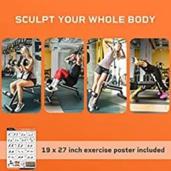 LifePro Multipurpose Roman Chair - Foldable Back Extension Bench & Ab Bench Workout Chair- Versatile At-Home Hyperextension Bench & Ab Chair For Whole-Body Training -APPLE || Garmin || FITBIT Sales baaf0f8a f41c 43b0 b74e fb53d54dfddb