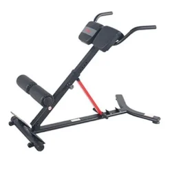 Sunny Health & Fitness Hyperextension Roman Chair With Dip Station - SF-BH620062 , Black -APPLE || Garmin || FITBIT Sales fa4cb30e 2f87 4f16 95c1 e90363fba588